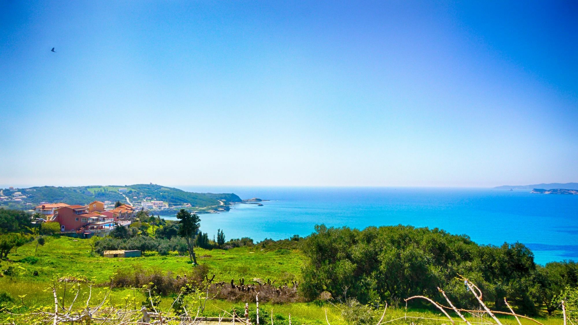 Nikos & Katerina Studios Agios Stefanos Avliotes  Exterior foto
